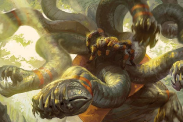 Kraken 19at