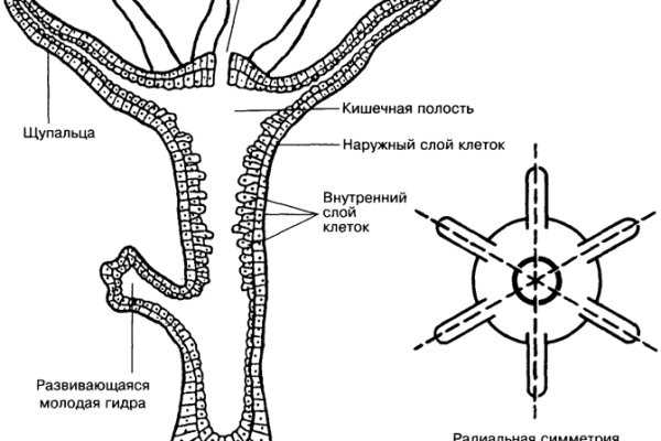 Регистрация кракен